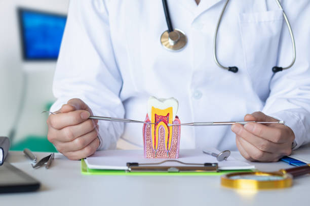 Best Chipped Tooth Repair Near Me  in Bellefontaine, OH